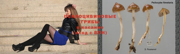 дживик Вязники